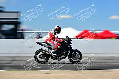 media/Mar-25-2024-Moto Forza (Mon) [[8d4319bd68]]/3-Intermediate Group/Session 4 (Front Straight Speed Pans)/